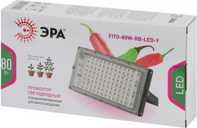 FITO-80W-RB-LED-Y – фото 7