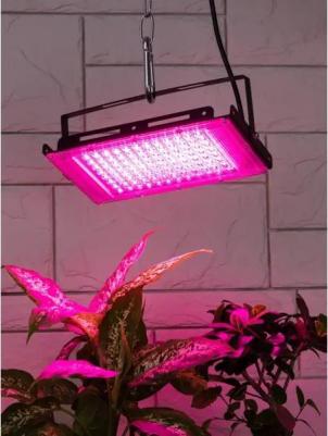 FITO-80W-RB-LED-Y – фото 8