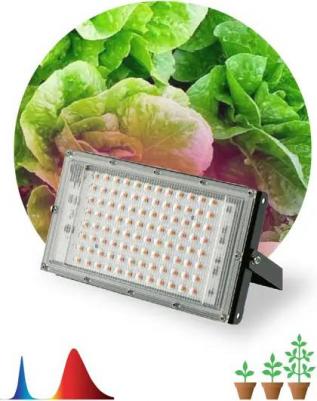 FITO-80W-RB-LED-Y – фото 9