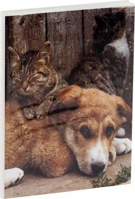 Фотоальбом 36 фото 10*15см, "Friends", мягкая обложка, ПП карман