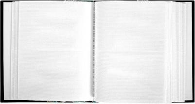 Фотоальбом на 304 фотографии 10х15 см, твердая обложка, "Пейсли", черный с бирюзовым, 390674 – фото 12