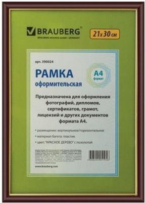 Рамка 21х30 см, пластик, багет 14 мм, HIT, красное дерево с позолотой, стекло, 390024