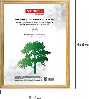 Рамка 30х40 см, дерево, багет 18 мм, HIT, канадская сосна, стекло, 390026 – фото 1