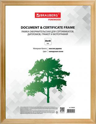 Рамка 30х40 см, дерево, багет 18 мм, HIT, канадская сосна, стекло, 390026 – фото 2