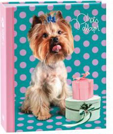 250 IA -200PP – фото 2