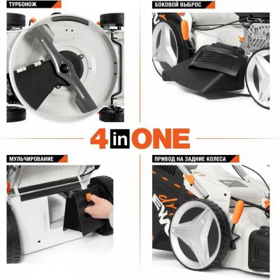 L 50SPE – фото 1