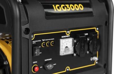 IGG 3000 – фото 2