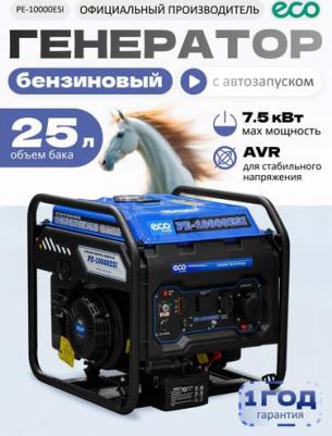 PE-10000ESI – фото 5