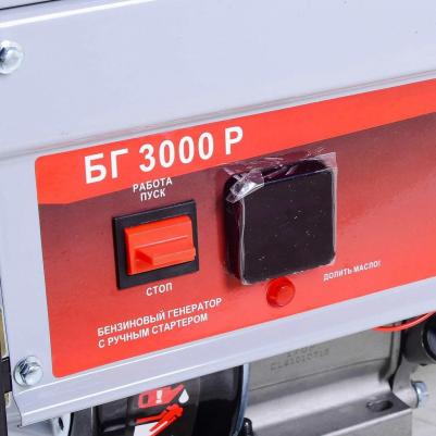 БГ 3000 P – фото 3