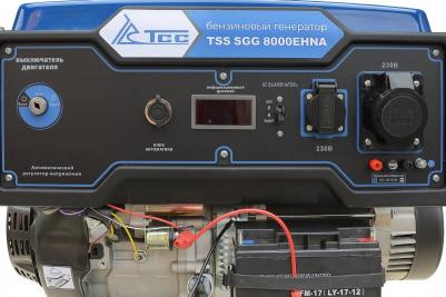 SGG 8000EHNA – фото 9