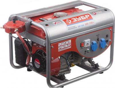 ЗЭСГ-2500 – фото 3