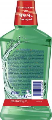 Ополаскиватель для полости рта Plax Алтайские Травы 500мл, упак – фото 6