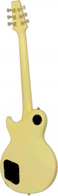PE-350CST AGWH – фото 3