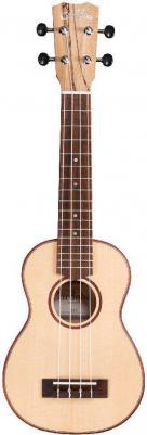 24S Spruce