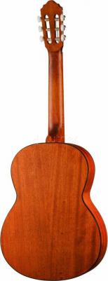 AC100 OP – фото 1