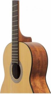 AC100 OP – фото 3