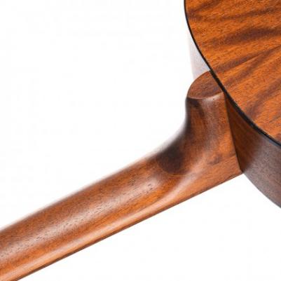 AC100 OP – фото 17