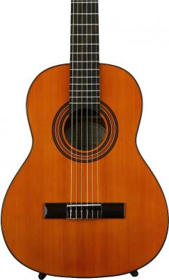 PRO-1 Classic – фото 5