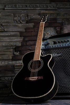 F-230C / BK – фото 10