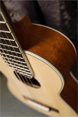 GUT 350 SP/SAP – фото 4