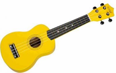 RS-C1-YW – фото 2