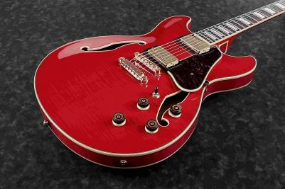 AS93FM-TCD – фото 13