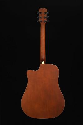 D1C Sunburst – фото 2