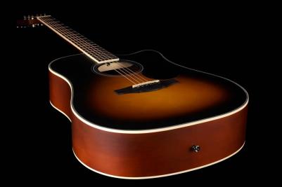 D1C Sunburst – фото 3
