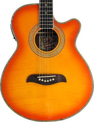 OG10CE FYS – фото 5