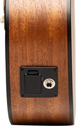 SA25 ACE SPRUCE – фото 2