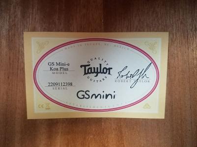 GS Mini-e Koa Plus – фото 7