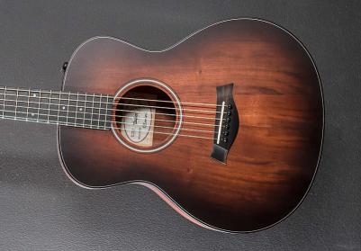 GS Mini-e Koa Plus – фото 12