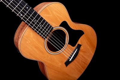 GS Mini-e Mahogany – фото 17