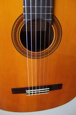 CG162C – фото 2