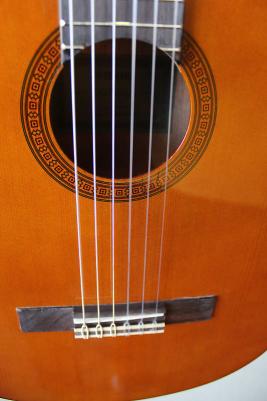 CGS102A – фото 1