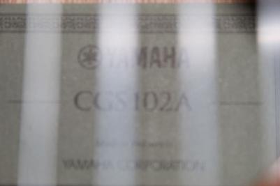 CGS102A – фото 2