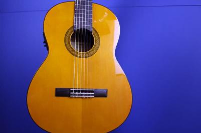 CGX102 – фото 2