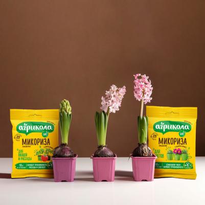 Микориза для рассады и овощей, 10 г – фото 3