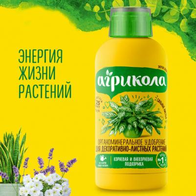 Удобрение Аква для декоративнолиственных растений 250 мл