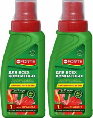 Удобрение для комнатных растений Красота 285 мл – фото 10