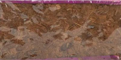 Кокосовый субстрат для растений – фото 5