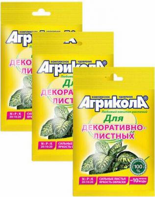 Удобрение Агрикола 10 для декоративнолистных растений пакет 25 г – фото 7