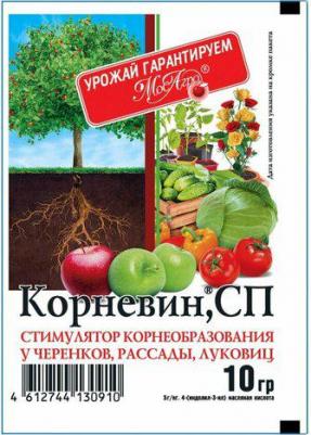 Корневин Стимулятор образования и роста корней 10 г, 1 шт в упаковке – фото 1