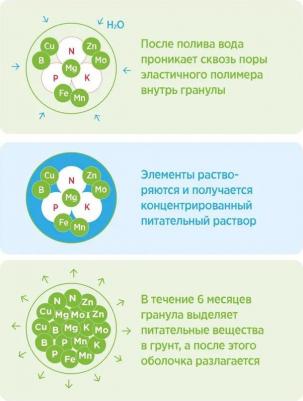 Удобрение минеральное Pro 2 Весна азот плюс 1 кг – фото 12