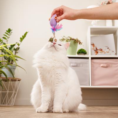 Игрушка для кошек Мышка и Конфета, мышка 15х4х4 см, конфета 16,5х2х2 см – фото 1