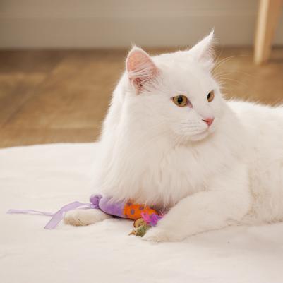 Игрушка для кошек Мышка и Конфета, мышка 15х4х4 см, конфета 16,5х2х2 см – фото 2