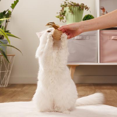 Игрушка для кошек Шар с перьями, диаметр 6 см – фото 5