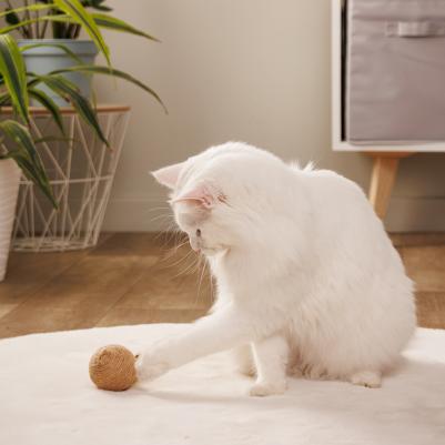 Игрушка для кошек Шар с перьями, диаметр 6 см – фото 6