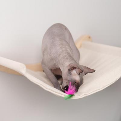 Игрушка из натурального меха для кошек Мышка с перьями, 5 см, разноцветная – фото 1