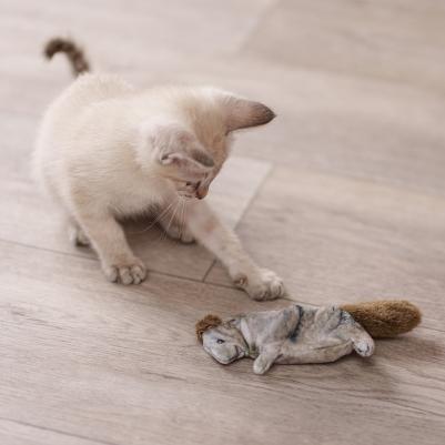 Игрушка для кошек Белка, 15,5х6х2,5 см – фото 2